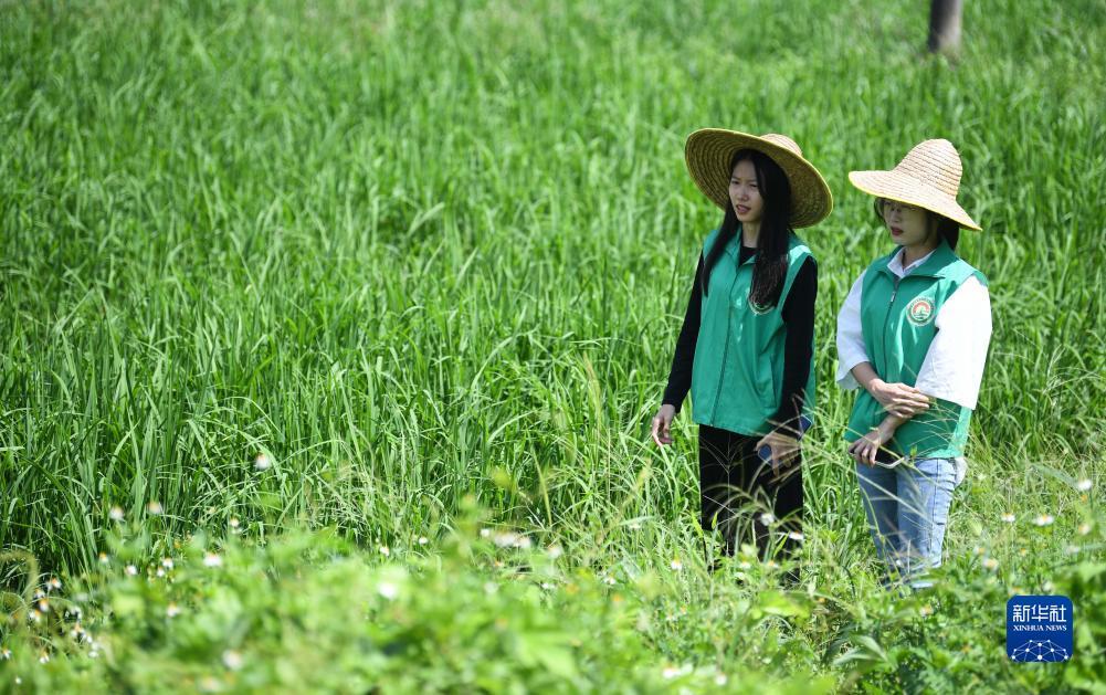 捕鱼达人2电脑版下载